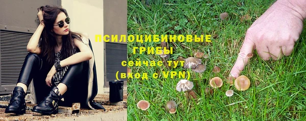 кокс Алзамай