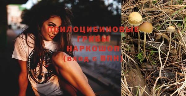 кокс Алзамай