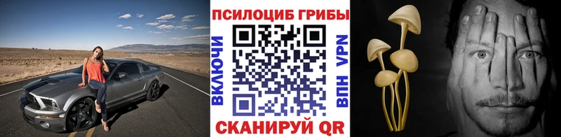 Галлюциногенные грибы Cubensis  как найти наркотики  Мышкин 